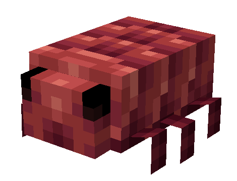 A little red bug, walking in place